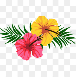 两朵小花素材