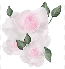花卉标签花草图案