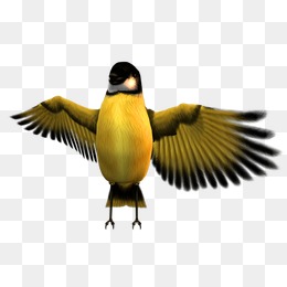 他的金丝雀免费 8856f475f08d953.jpg