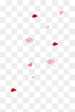 飘落的花瓣