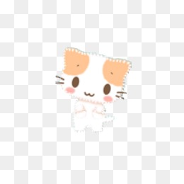 小猫咪