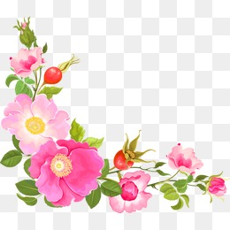 0图库专辑107992_千库网会员CHANI92个人素材