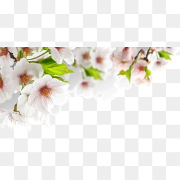 春意人口免费_春意影院普通用户人口