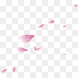 花瓣素材图片免费下载_高清png_千库网(图片编号