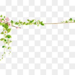 藤蔓花边