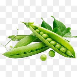 千库网-免费素材下载,图片素材,png素材,png下