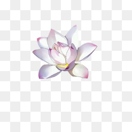 荷花花瓣花苞莲叶莲花中国风素材漂浮古风素材
