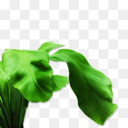 设计元素_图片背景素材大全_千库网588ku.co