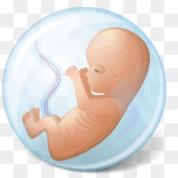 【胎儿素材】_胎儿图片大全_胎儿素材免费下