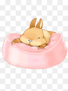 慵懒的波斯猫