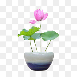 app404-设计元素_免费PNG图片素材库588ku