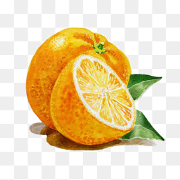 2a5b7dab710ee996e03e80c9b9c1c577.jpg