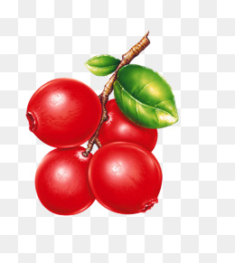 圣女果_设计元素_圣女果图片背景素材大全_千