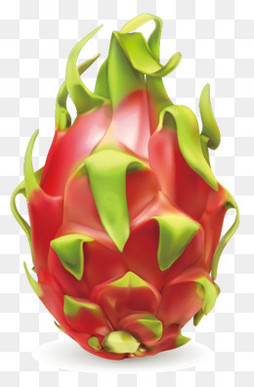 【龙果素材】_龙果图片大全_龙果素材免费下