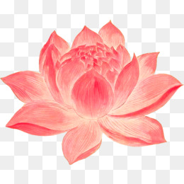 手绘古风莲花素材
