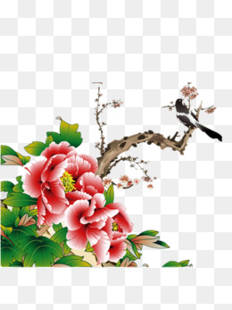 牡丹水粉画素材