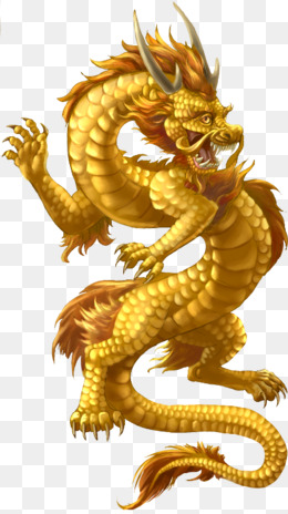金色高贵翔龙