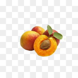 【桃子核素材】_桃子核图片大全_桃子核素材