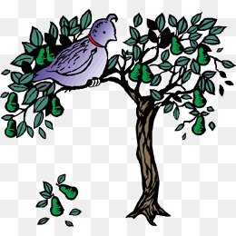 一只小鸟站在树枝上猜成语_小鸟站在树枝上的画