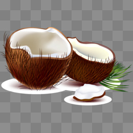 【海南椰子奶素材】免费下载_海南椰子奶图片大全_千库网png