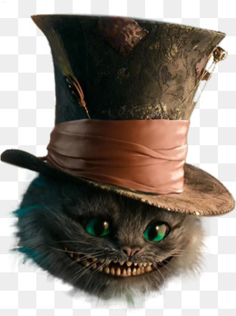 戴帽子的猫