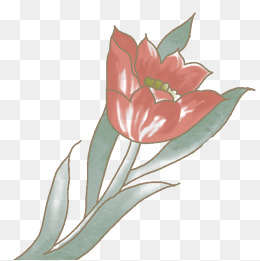一朵花手绘