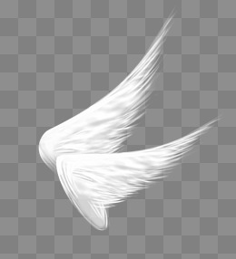 白色的天使翅膀素材图片免费下载_高清装饰图案png_千