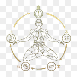 金木水火土 猜成语_金木水火土