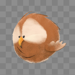 呆萌小鸟图片背景素材免费下载,图片编号4664