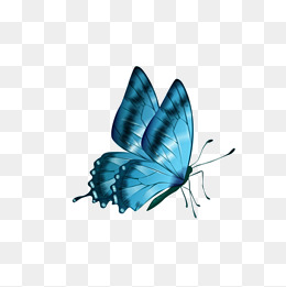 绣蝴蝶图案颜色 711f97636c54fd191cc4206edc3f9843.jpg