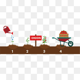 花朵种植过程素材图片免费下载_高清卡通手绘