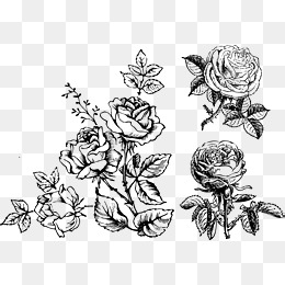 251aa196e34146f7d4deda5290c2a7ec.jpg