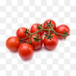 免费番茄 6540e8a1d613dcf4611470383c51ba7e.jpg