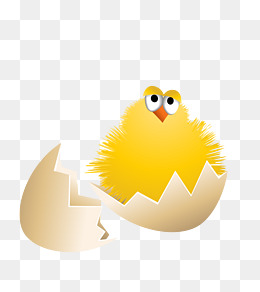破壳而出的小鸡素材图片免费下载_高清png_千库网