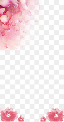 女生节花瓣背景