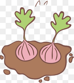 蒜头图片怎么画 aad4d6d4a0b9318ef88b7af184296244.jpg