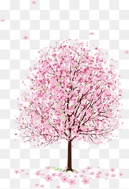 盛开桃花桃树实物图