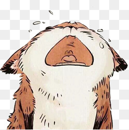 小狐狸哭的表情