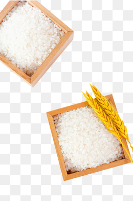 盒子里的大米素材