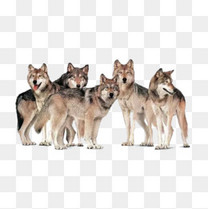 足球比赛宣传海报背景模板背景图片免费下载_