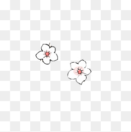 手绘梨花花瓣图片素材