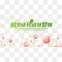 破茧成蝶蜕变
