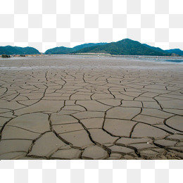 干涸的土地