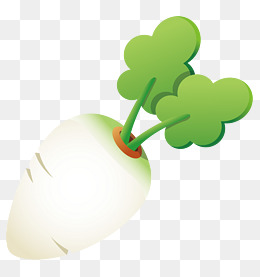 蔬菜水萝卜