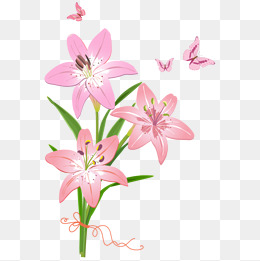卡通百合花