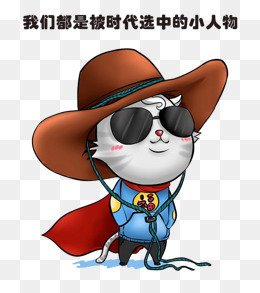 戴帽子的猫