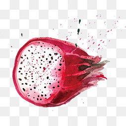 【龙果素材】_龙果图片大全_龙果素材免费下