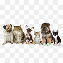 星空中的北斗七星素材图片免费下载_高清psd