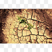 可爱卡通睡觉的萌萌哒兔子素材图片免费下载_