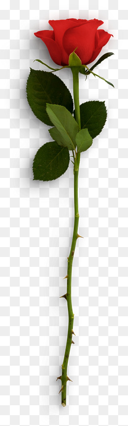 可爱清新女装大促banner